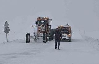 Muş-Kulp karayolu tır ve çekici trafiğine kapatıldı