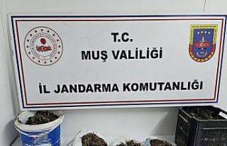 Muş’ta uyuşturucu operasyonu