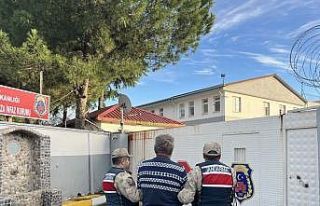 Ordu’da aranan 53 şüpheli yakalandı