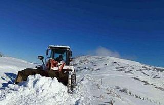 Ordu’nun bir ilçesinde eğitime kar engeli