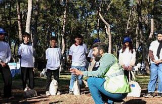 Orman ekosisteminde atıkların tehlikesi uygulamalı...