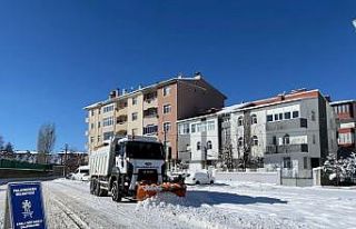 Palandöken Belediyesi karla mücadelede sahada