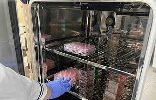 Parkinson’da bağırsak- beyin iletişimi çip üstü...