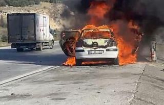 Peugeot marka otomobil alev topuna döndü