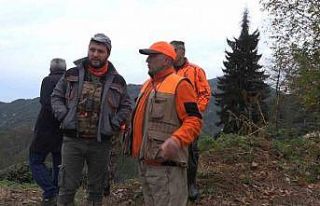 Rize’de ayı için sürek avı başlatıldı