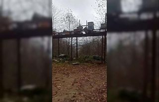 Rize’de ayılara demir profilli tezgah da çare...