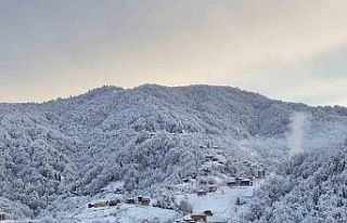 Rize’nin yüksek kesimlerinde kar kalınlığı...