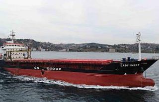 Romanya’da kazaya karışan Türk gemisi İstanbul...