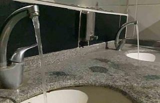 Salmonella enfeksiyonuna karşı altın kuralları...