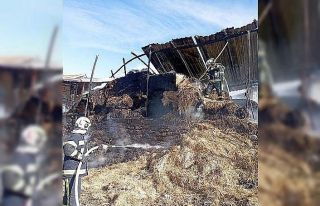 Samanlıkta çıkan yangın korku yaşattı