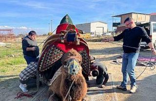 Şampiyon devenin havudu dualarla takıldı
