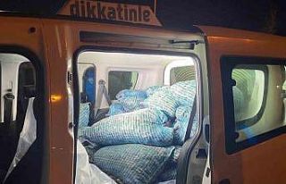 Samsun’da 300 kilo kaçak midye ele geçirildi