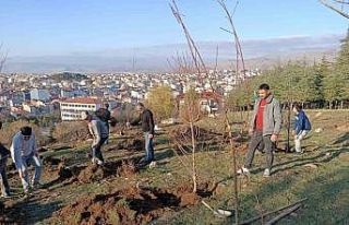 Sandıklılı yarenler badem fidan dikti