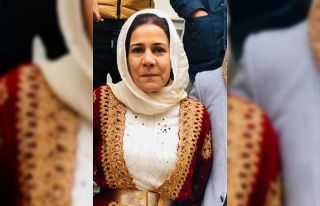 Şanlıurfa’da elektrik akımına kapılan kadın...