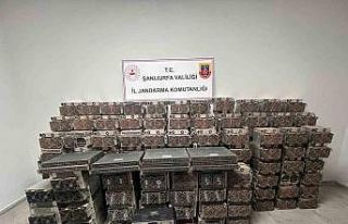 Şanlıurfa’da kripto para madenciliği operasyonu:...