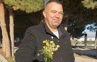 Sarıgöl’de zemheri papatyaları açtı