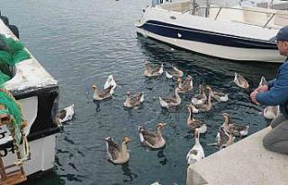 Şarköy’ün maskotu ’Vakvaklar’