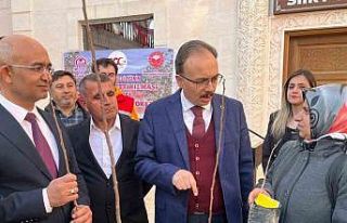 Siirtli çiftçilere 25 bin fıstık ve 4 bin 300...