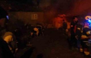 Sındırgı’da hayvan damı ve samanlıkta yangın