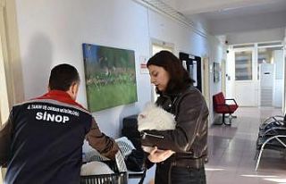 Sinop’ta hayvan kimliklendirme istatistikleri