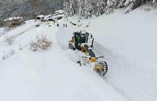 Sinop’ta karla mücadele