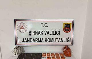 Şırnak’ta jandarmadan dev operasyon: 69 şüpheliye...