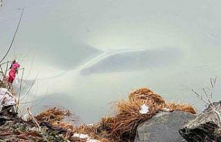 Şırnak’ta köylüler çaya uçan araçtan kurtardıkları...