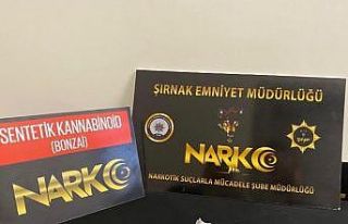 Şırnak’ta narkotik ve kaçakçılık operasyonu:...