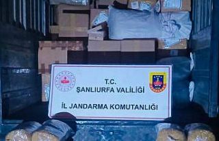 Siverek’te 3 tonun üzerinde kıyılmış tütün...