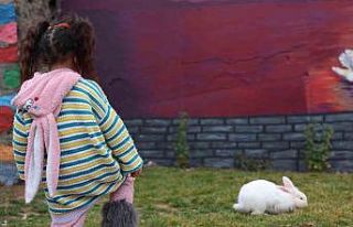 Sivrice Kadın Cezaevi, EuroPris’te 30 ülkeyi geride...