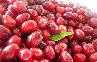 Soğuk algınlığına doğal çözüm: Kızılcık