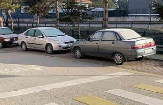 Soğuk hava sebebiyle çimler ve otomobil camları...