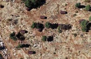 Sokak hayvanları sıcak yuvaya kavuştu