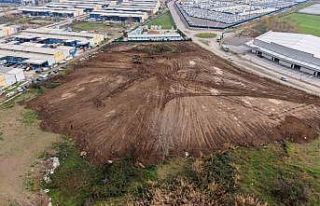 Sokak hayvanlarının yaşam alanı genişletiliyor