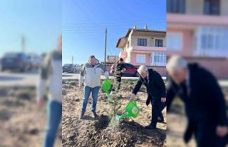 Şuhut İlçe Emniyet Müdürlüğü Hatıra Ormanı...