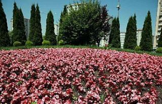 Talas 2026’da rengarenk olacak