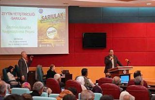 Tarsus’ta Sarıulak zeytini için üreticilere eğitim...