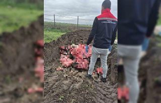 Tekirdağ’da 1 ton menşei belirsiz hayvansal ürün...