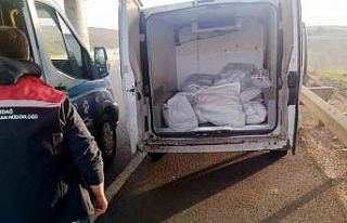 Tekirdağ’da 400 kilo menşei belirsiz kokoreç...