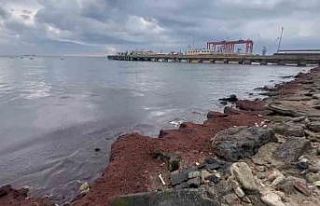 Tekirdağ’da kuvvetli rüzgar sahili kırmızı...