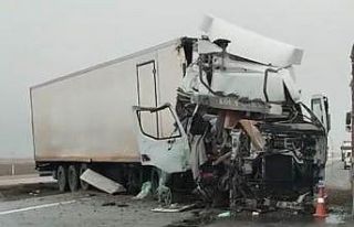 Tır yol kenarındaki tırın dorsesine çarptı:...