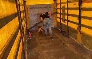Tırın tabanına binlerce uyuşturucu hap sakladılar
