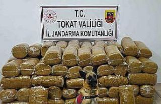 Tokat’ta 485 kilogram kaçak tütün ele geçirildi