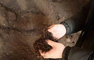 Torf üretimiyle yılda 50 milyon lira tasarruf sağlanıyor