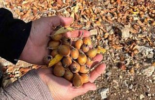 Toros Dağları’nda gizemli hayırseverin 30 yıl...