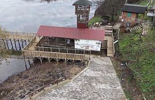 Turizmin parlayan yıldızı Efteni Gölü’nde engelsiz...