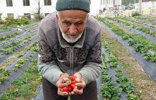 Türkiye onu yoldan geçenlere bahçesinden ikram...