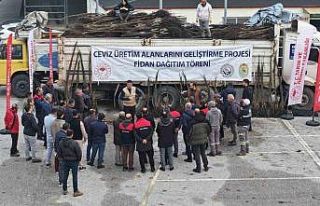 Türkiye’nin ceviz başkenti Denizli’de ceviz...