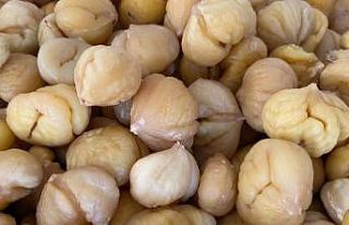 Türkiye’nin yüzde 33’ünü karşılayan Aydın...