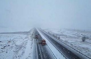 Turuncu kaplanların Bayburt-Gümüşhane yolunda...